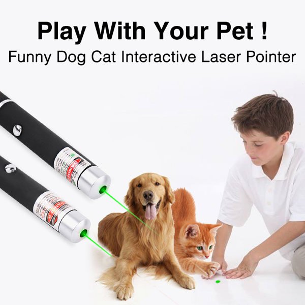 Play With Your Pets Laser Pen