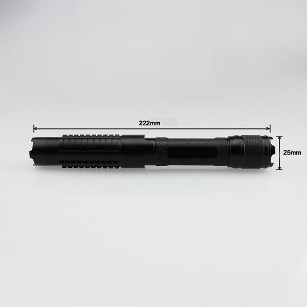 500mW Laser Pointer Purple
