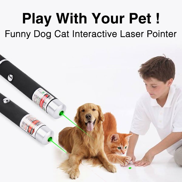 Presentation Laser Pointer Green